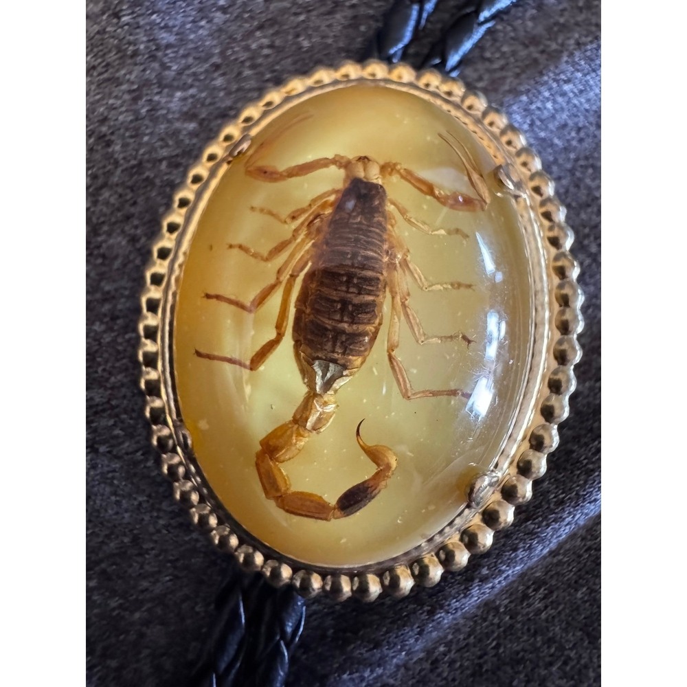 Vintage Western Express Scorpion Bolo Tie Goldtone Country Desert Taxidermy Resi